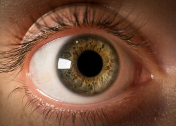 The Real Reason Humans Have Large White Eyes. And It’s Not Because of Carrots!