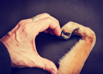 Why Some People Are Madly in Love With Animals While Others Couldn’t Give A Hoot!