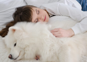Why so many owners sleep with their pets